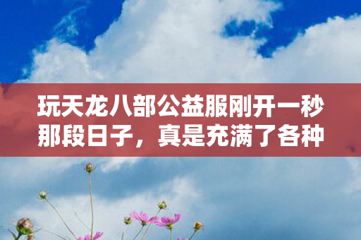 玩天龙八部公益服刚开一秒那段日子图片