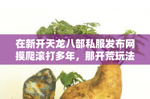 在新开天龙八部私服发布网摸爬滚打多年图片