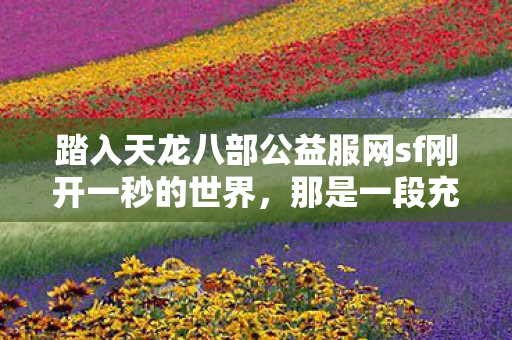 踏入天龙八部公益服网sf刚开一秒的世界图片