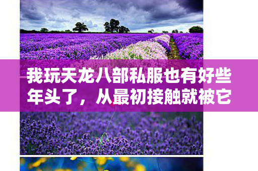 从最初接触就被它丰富的技能和多样玩法吸引图片