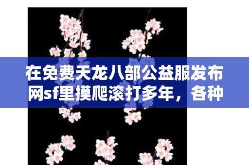 在免费天龙八部公益服发布网sf里摸爬滚打多年图片