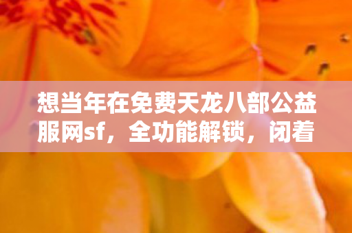 想当年在免费天龙八部公益服网sf图片