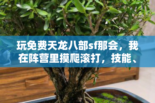 玩免费天龙八部sf那会图片