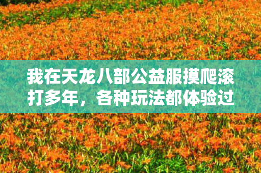 我在天龙八部公益服摸爬滚打多年图片