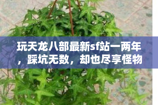 却也尽享怪物掉落装备的刺激快感图片