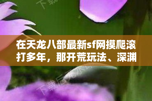 在天龙八部最新sf网摸爬滚打多年图片