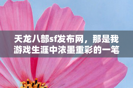 那是我游戏生涯中浓墨重彩的一笔图片