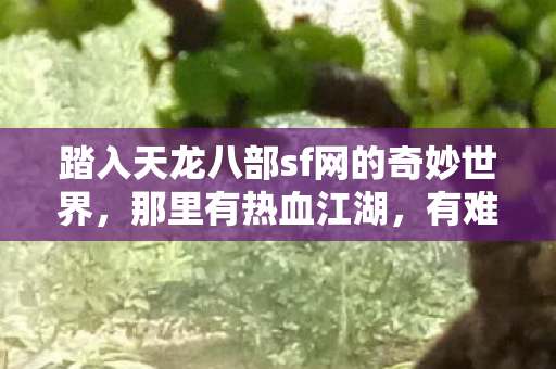 踏入天龙八部sf网的奇妙世界图片