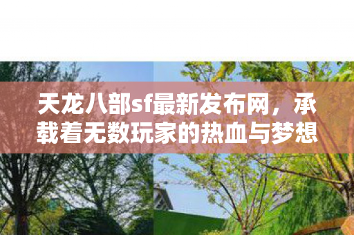 承载着无数玩家的热血与梦想图片