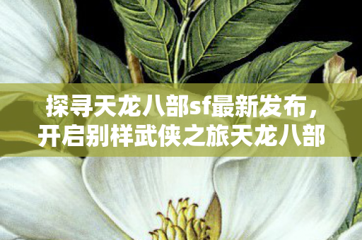 开启别样武侠之旅天龙八部私服图片
