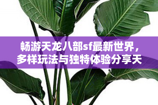 多样玩法与独特体验分享天龙私服图片