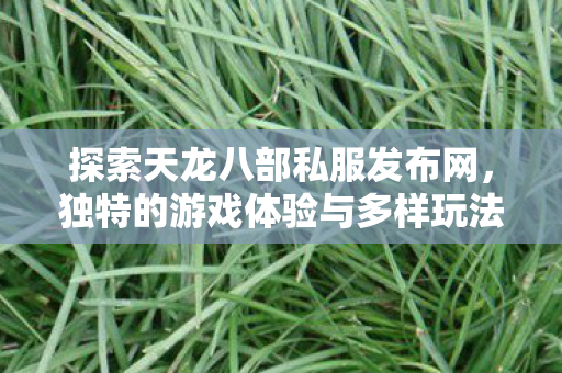 独特的游戏体验与多样玩法天龙私服图片