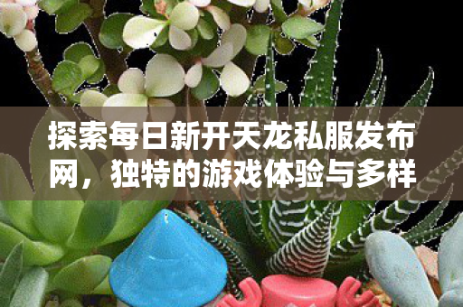 独特的游戏体验与多样玩法天龙私服图片