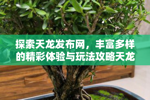 丰富多样的精彩体验与玩法攻略天龙私服图片