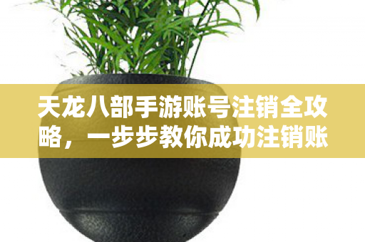 天龙八部手游账号注销全攻略图片