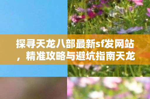 探寻天龙八部最新sf发网站图片