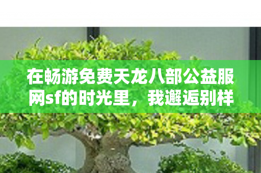 在畅游免费天龙八部公益服网sf的时光里图片