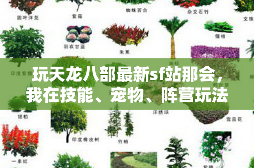 玩天龙八部最新sf站那会图片