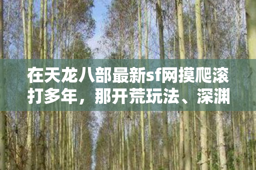 在天龙八部最新sf网摸爬滚打多年图片