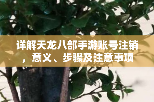 详解天龙八部手游账号注销图片