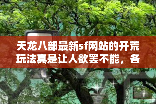 天龙八部最新sf网站的开荒玩法真是让人欲罢不能图片