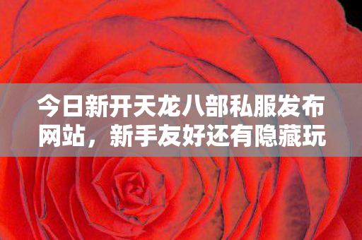 今日新开天龙八部私服发布网站图片