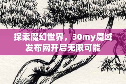 30my魔域发布网开启无限可能图片