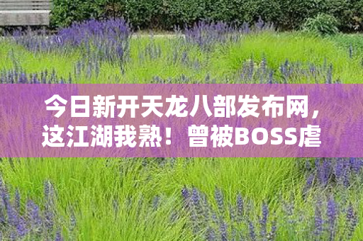 今日新开天龙八部发布网图片