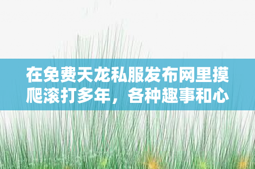 在免费天龙私服发布网里摸爬滚打多年图片