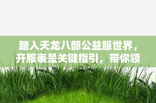 踏入天龙八部公益服世界图片