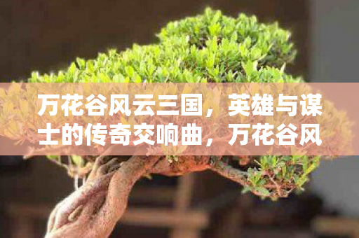 万花谷风云三国,英雄与谋士的传奇交响曲,万花谷风云三国,英雄谋士的传奇乐章 万花谷风云三国,英雄与谋士的传奇交响曲,万花谷风云三国,英雄谋士的传奇乐章