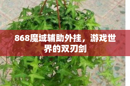 868魔域辅助外挂图片