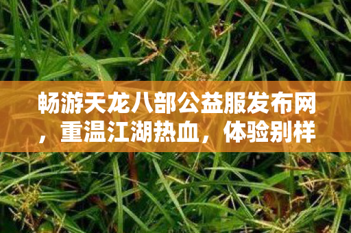 体验别样武侠人生天龙八部私服图片