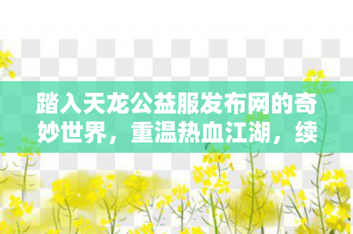 踏入天龙公益服发布网的奇妙世界图片