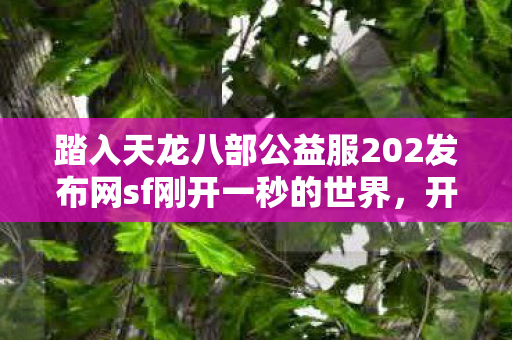 踏入天龙八部公益服202发布网sf刚开一秒的世界图片