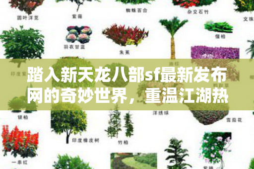 踏入新天龙八部sf最新发布网的奇妙世界图片