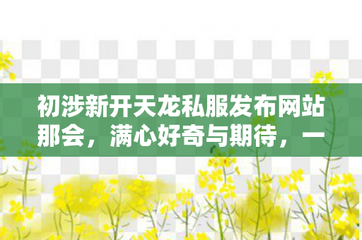 初涉新开天龙私服发布网站那会图片