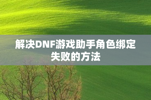 解决DNF游戏助手角色绑定失败的方法图片