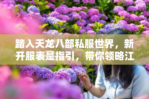 踏入天龙八部私服世界图片