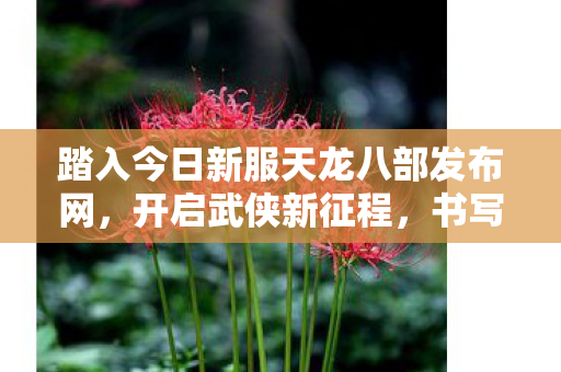 踏入今日新服天龙八部发布网图片
