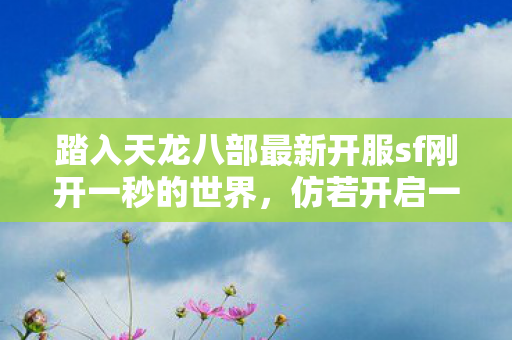 踏入天龙八部最新开服sf刚开一秒的世界图片
