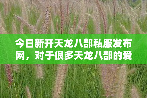 就像是一个充满未知与惊喜的神秘角落图片