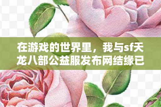 我与sf天龙八部公益服发布网结缘已有三四年图片