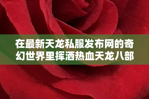 在最新天龙私服发布网的奇幻世界里挥洒热血天龙八部私服图片