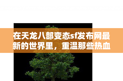 重温那些热血与欢乐并存的独特游戏历程天龙私服图片