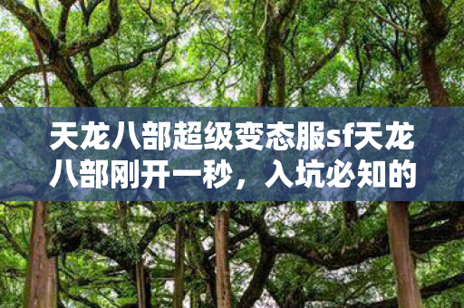 天龙八部超级变态服sf天龙八部刚开一秒图片