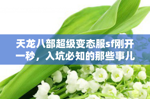 天龙八部超级变态服sf刚开一秒图片