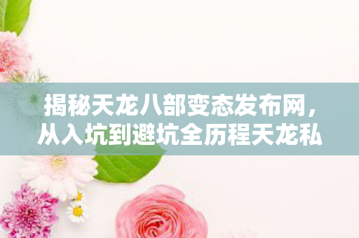 从入坑到避坑全历程天龙私服图片