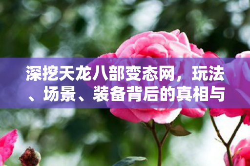 装备背后的真相与陷阱天龙私服图片