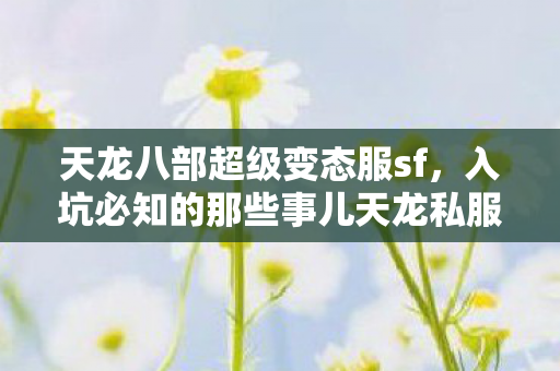 入坑必知的那些事儿天龙私服图片